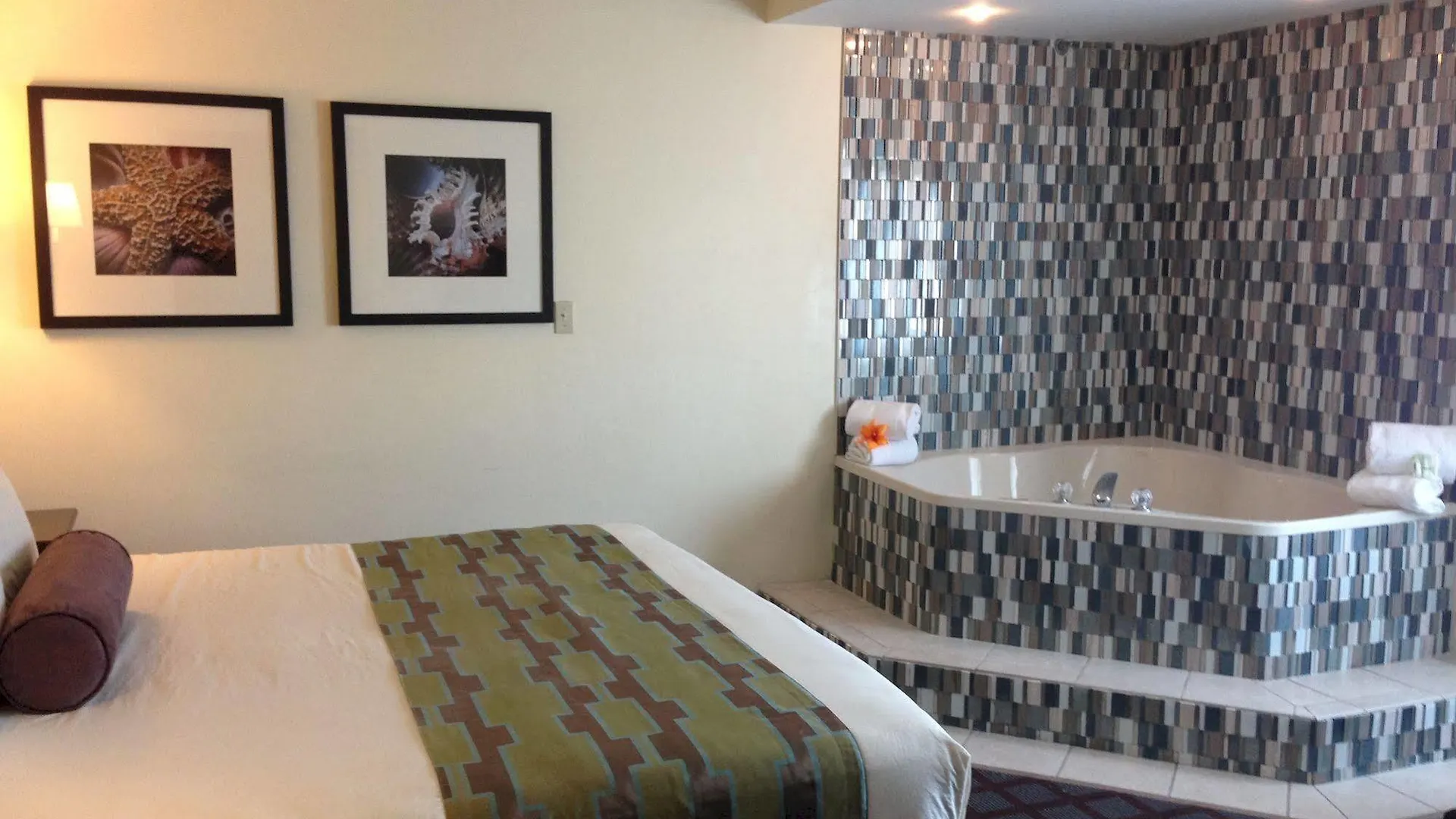 ***  Hotel Monte Carlo Ocean City Stany Zjednoczone Ameryki